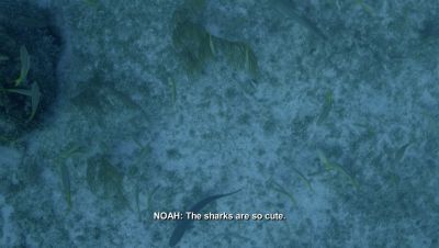 000_001_1225.jpeg