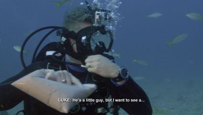 000_001_1232.jpeg