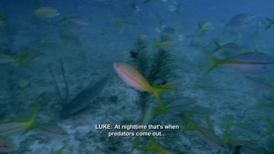 000_001_1254.jpeg