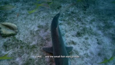 000_001_1257.jpeg