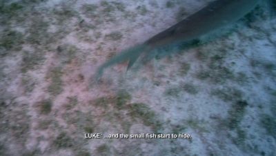 000_001_1258.jpeg