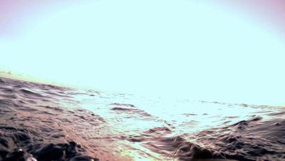 000_001_1291.jpeg