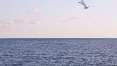 Click to view full size image
==============
000_001_1319.jpeg 000_001_1319.jpeg