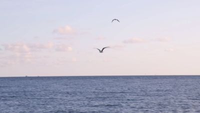 Click to view full size image
==============
000_001_1320.jpeg 000_001_1320.jpeg
