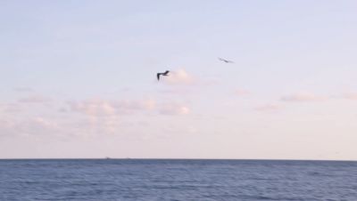 Click to view full size image
==============
000_001_1321.jpeg 000_001_1321.jpeg