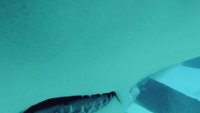 Click to view full size image
==============
000_001_1365.jpeg 000_001_1365.jpeg