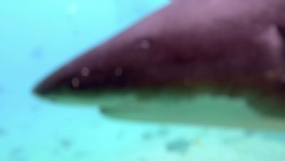 Click to view full size image
==============
000_001_1377.jpeg 000_001_1377.jpeg