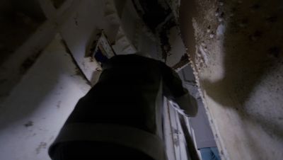 Click to view full size image
==============
000_001_1601.jpeg 000_001_1601.jpeg