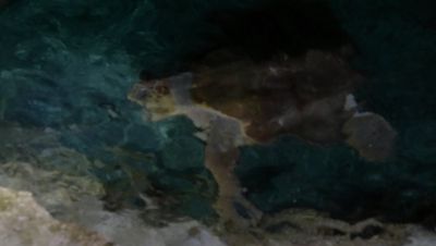 000_001_1698.jpeg