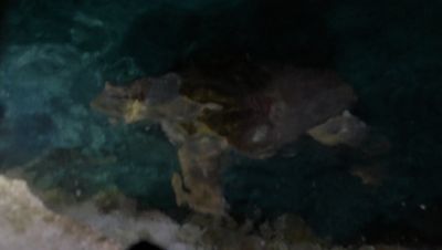 000_001_1699.jpeg