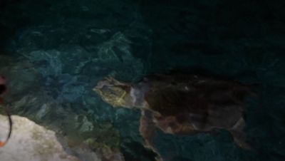 000_001_1701.jpeg