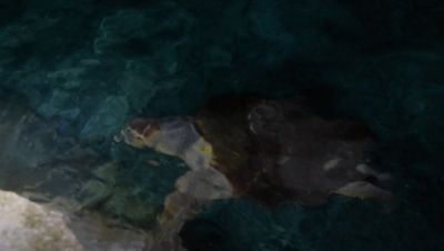 Click to view full size image
==============
000_001_1702.jpeg 000_001_1702.jpeg