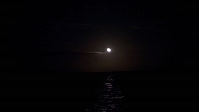 Click to view full size image
==============
000_001_1741.jpeg 000_001_1741.jpeg