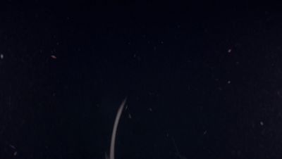 Click to view full size image
==============
000_001_1744.jpeg 000_001_1744.jpeg