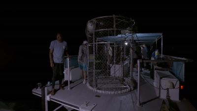 Click to view full size image
==============
000_001_1753.jpeg 000_001_1753.jpeg