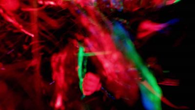 000_001_1929.jpeg