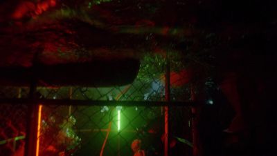 000_001_1955.jpeg