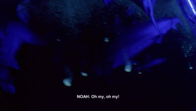 000_001_1979.jpeg