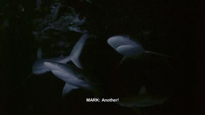 000_001_1983.jpeg