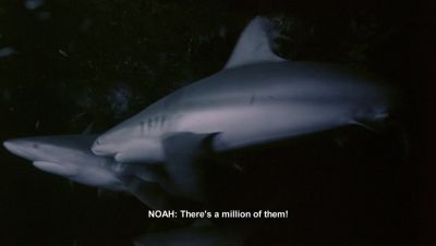 000_001_1984.jpeg