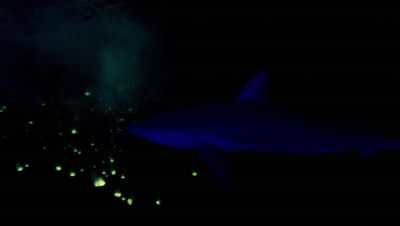 000_001_2037.jpeg