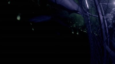 Click to view full size image
==============
000_001_2055.jpeg 000_001_2055.jpeg
