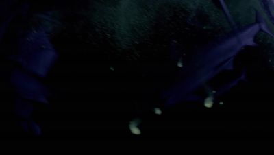 Click to view full size image
==============
000_001_2056.jpeg 000_001_2056.jpeg