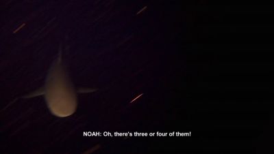 000_001_2060.jpeg