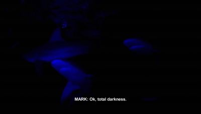 000_001_2083.jpeg