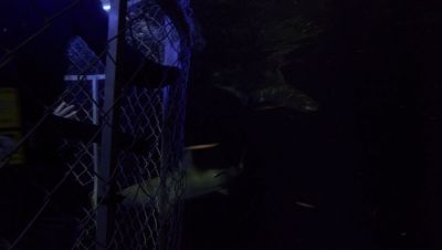 000_001_2104.jpeg