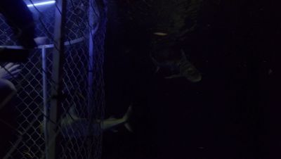 000_001_2105.jpeg