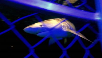 000_001_2130.jpeg