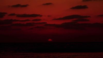 Click to view full size image
==============
000_001_2141.jpeg 000_001_2141.jpeg