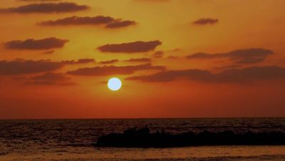 Click to view full size image
==============
000_001_2143.jpeg 000_001_2143.jpeg