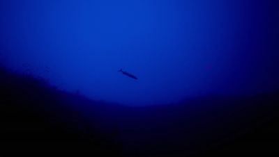 000_001_2400.jpeg