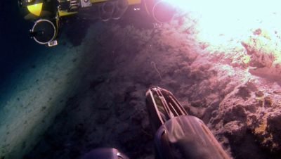 000_001_2449.jpeg