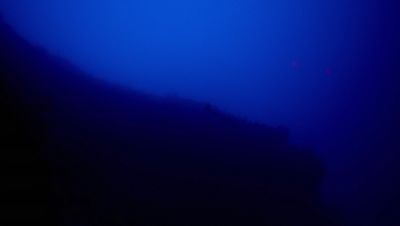 Click to view full size image
==============
000_001_2628.jpeg 000_001_2628.jpeg