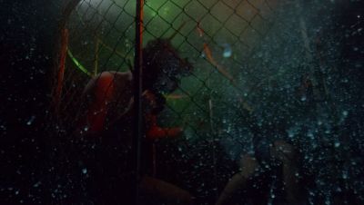 000_001_2930.jpeg