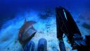 000_001_0032.jpeg