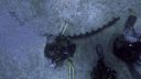 000_001_0033.jpeg
