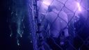000_001_0040.jpeg