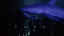 000_001_0041.jpeg
