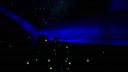 000_001_0043.jpeg