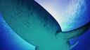 000_001_0175.jpeg