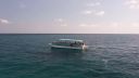 000_001_0288.jpeg