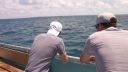 000_001_0293.jpeg