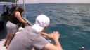 000_001_0300.jpeg