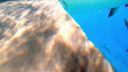 000_001_0305.jpeg