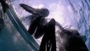 000_001_0429.jpeg