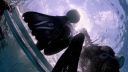 000_001_0430.jpeg